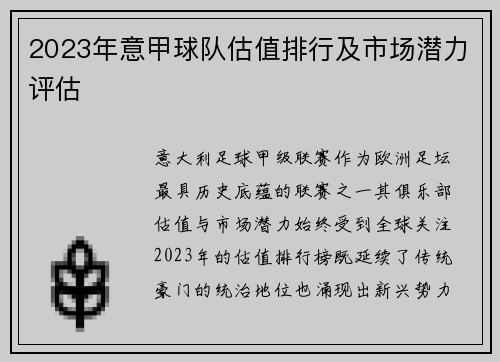 2023年意甲球队估值排行及市场潜力评估